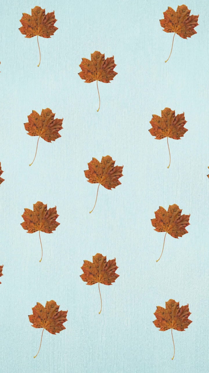 Animation of rows of autumn orange leaves on blue background