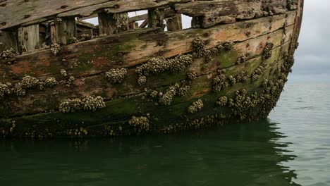 a captivating glimpse of a weathered shipwreck, encrusted with marine life, resting serenely in calming waters under a overcast sky