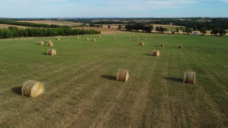 Aerial-shot-by-drone-of-a-field-at-Portugal