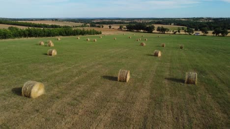 foto aérea tomada por un dron de un campo en portugal