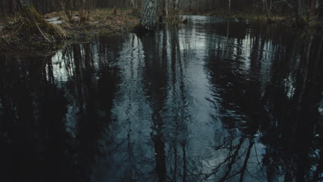 Kippen-Sie-Den-Teich-Im-Winterlichen-Wald-Mit-Kahlen-Bäumen-Nach-Oben