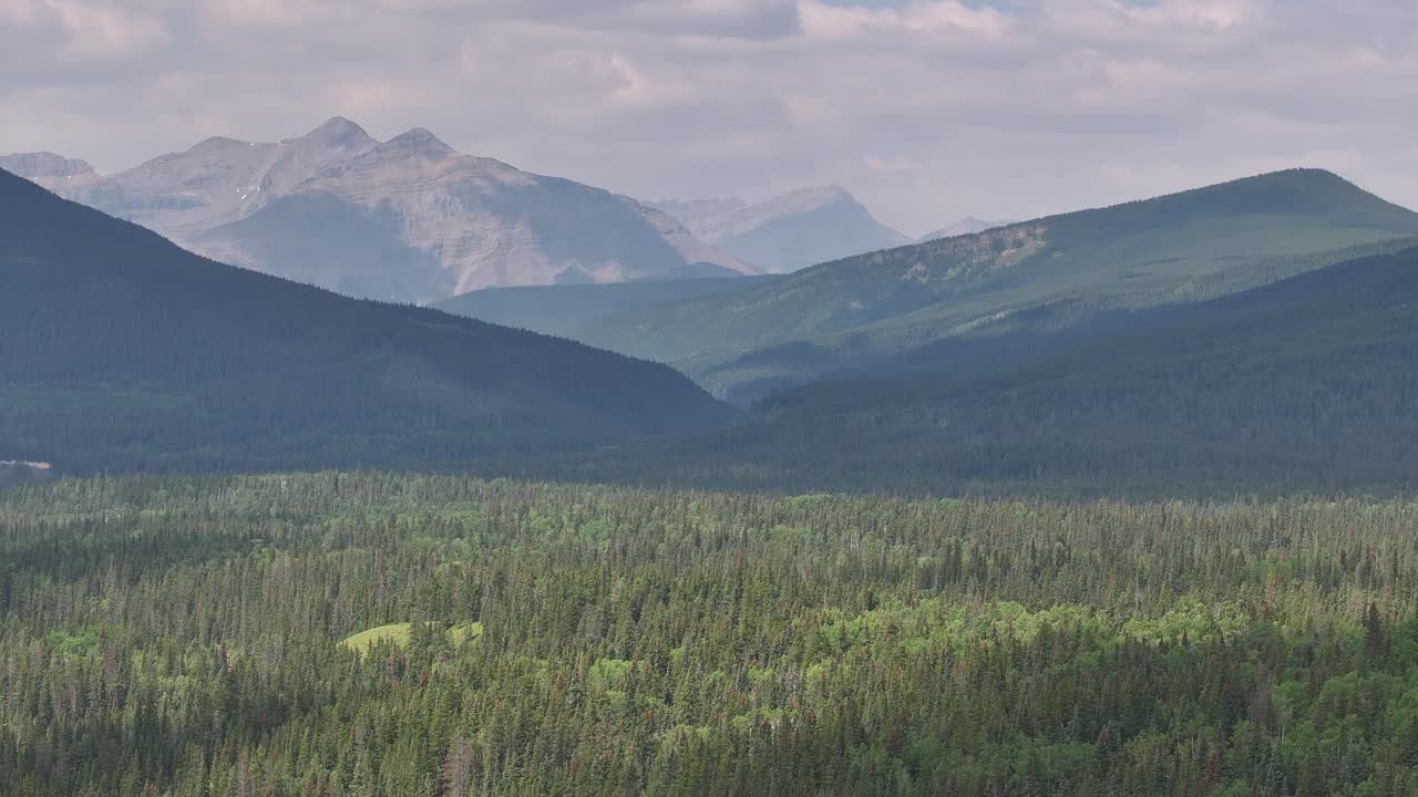 los árboles del bosque boreal se extienden a través de un valle nebuloso y lleno de humo de las montañas rocosas de alberta, canadá.