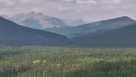 Los-árboles-Del-Bosque-Boreal-Se-Extienden-A-Través-De-Un-Valle-Brumoso-Y-Lleno-De-Humo-De-Las-Montañas-Rocosas-De-Alberta,-Canadá.