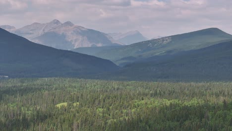 boreal forest trees stretch out across a hazy, smoke filled valley of the alberta, canada rocky mountains