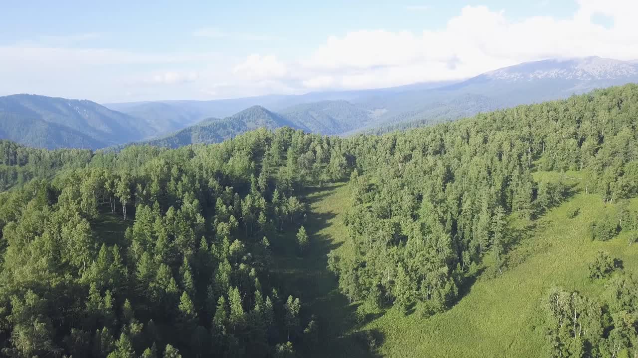 paisaje forestal montañoso