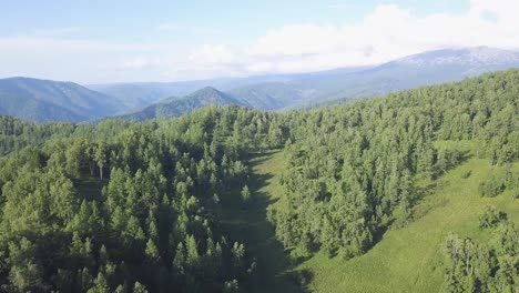 mountainous forest landscape