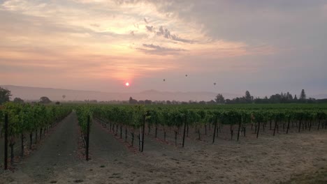 Amanecer-Del-Valle-De-Napa