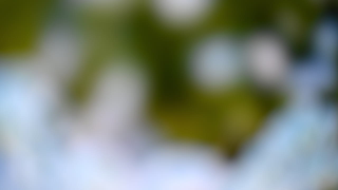 Abstract blurred background with green and white tones