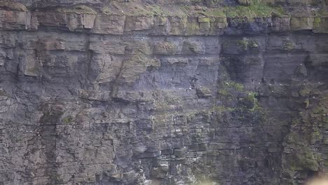 mis imágenes de viaje de nueva zelanda, irlanda, acantilados de moherhills