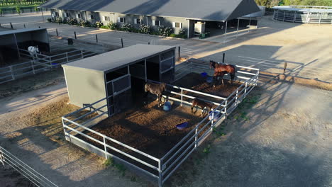 verbluffende antenne van paarden in stallen