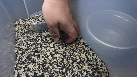 Rice-and-Rice-Cooker,-hand-scooping-and-measuring-cups-of-rice-from-a-plastic-container-and-pouring-into-a-rice-cooker-kettle