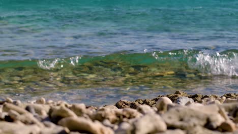 4k-60fps-Disparo-Deslizante-De-Rack-De-Enfoque-De-Coral-Muerto-Lavado-En-La-Playa-Caribeña-Con-Mar-Azul-Cristalino-En-Curacao