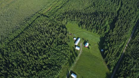 Drohnenaufnahme-Eines-Hauses,-Umgeben-Von-Einem-Riesigen-Wald,-Von-Oben-Nach-Unten