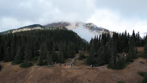 reuniéndose cerca de senderos escénicos en el parque nacional olímpico, washington