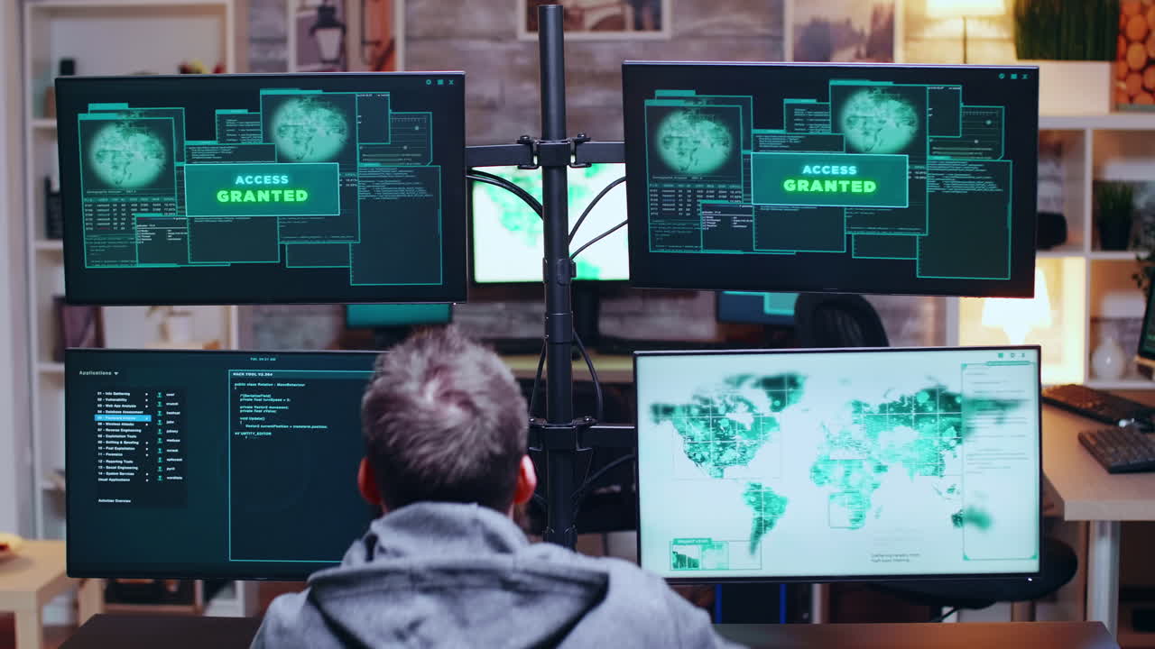 Excited hacker after breaking government server