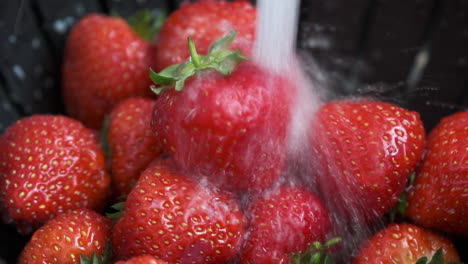 fresas rojas frescas y maduras que se lavan y se rocían con azúcar en un ambiente de cocina