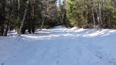 a drone flies through the snowy forest