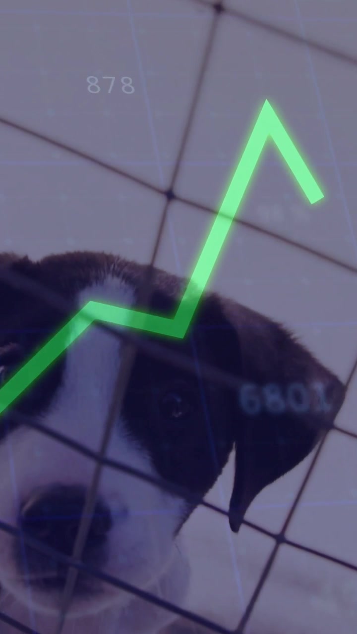 Video vertical: Gráficos de datos moviéndose hacia la derecha, haciendo que un cachorro incline la cabeza detrás de una cuadrícula, mostrando métricas.
