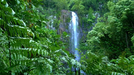 charismatic waterfall during road to hana, maui