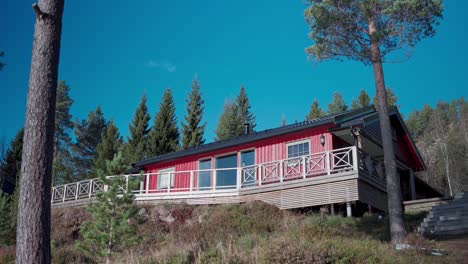 red cabin surrounded by green forest during sunny day