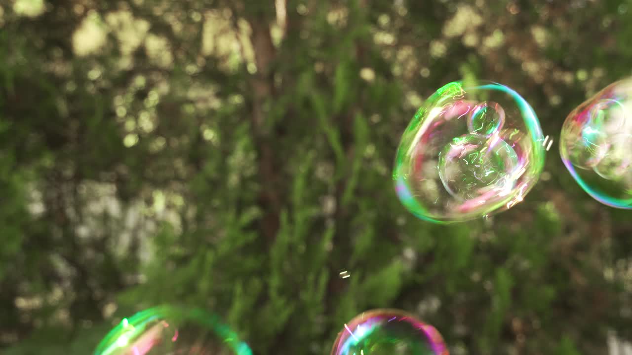 Bubbles with rainbow colors spreading on air with green blurry background