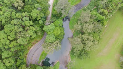 drone footage captures a winding road through dense greenery and a serene river in gold coast, australia
