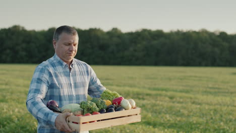 A-farmer-carries-a-box-of-fresh-vegetables-from-his-field-1