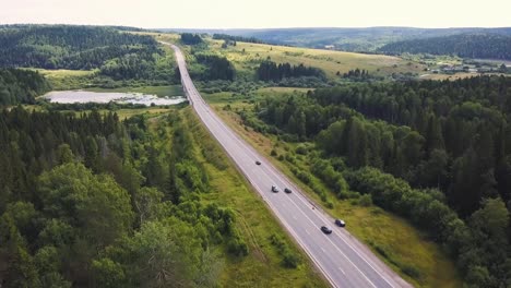 highway through a green forest landscape