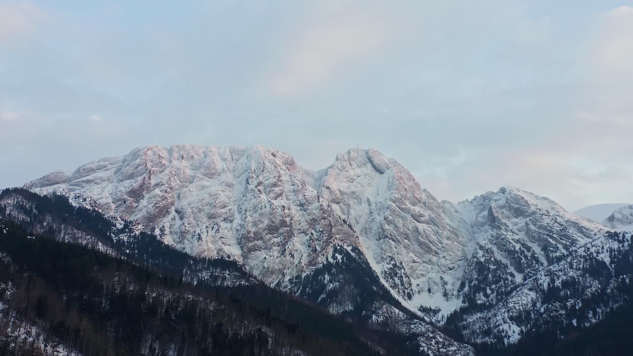 白いロッキー山脈と豊かな森林の風景 - 空撮