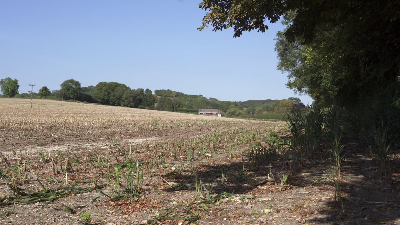 vista del paisaje de los campos dentro del reino unido