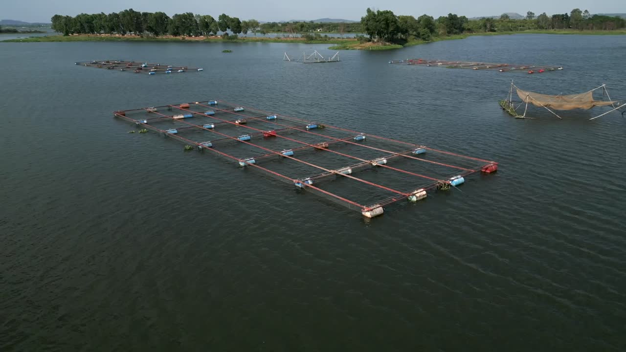 Fish Farming in a Lake