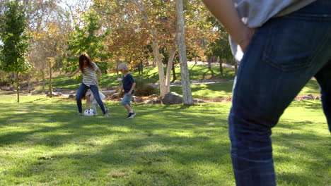 slow motion sequence of family playing soccer in park