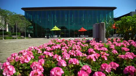 whitby public library with glass wall exterior and pink flowers