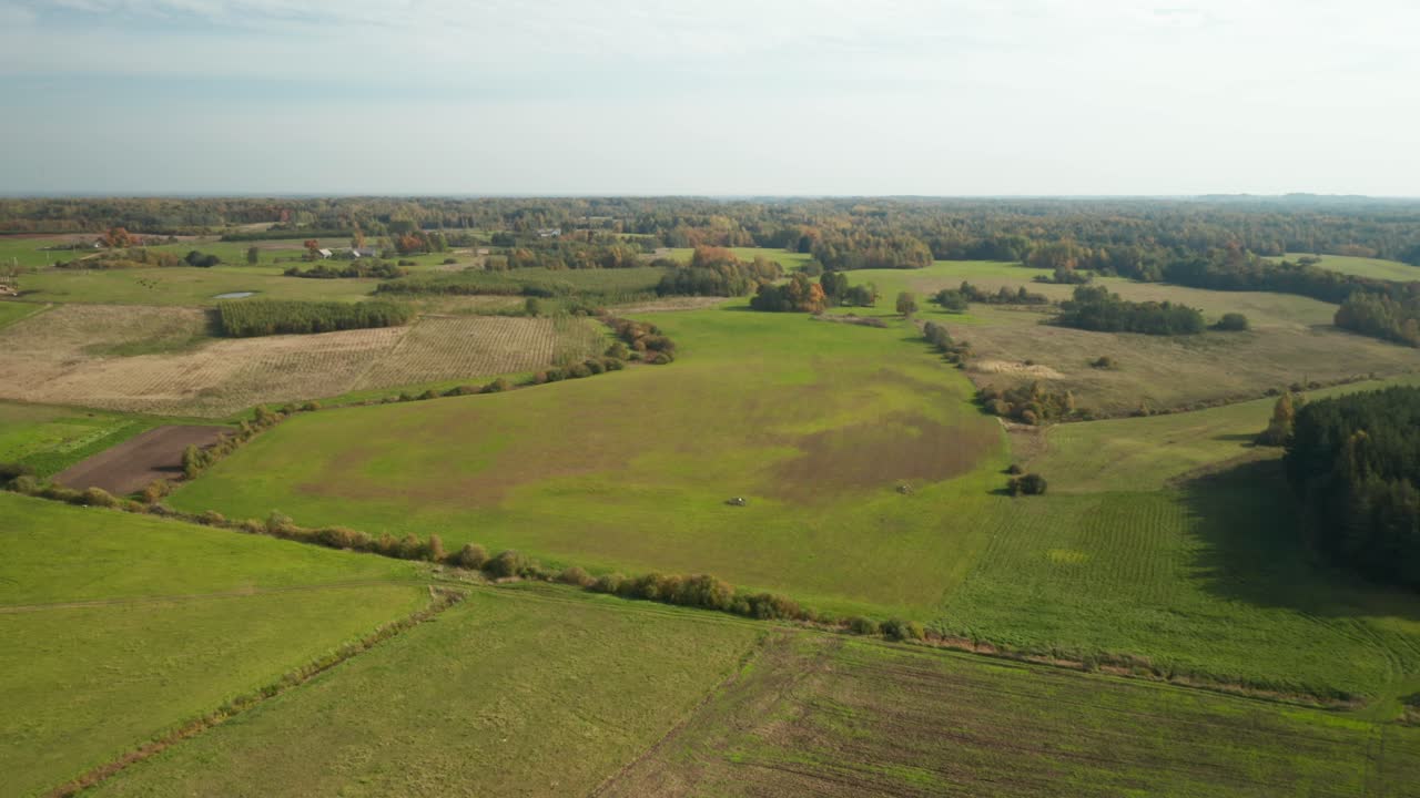 antena: horizonte con cielo y bosque de fondo en un soleado día de otoño