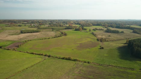 AERIAL:-Horizon-with-Sky-and-Forest-in-Background-on-a-Sunny-Autum-Day