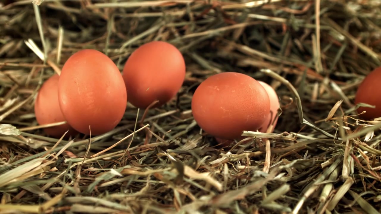 Brown Eggs Falling into a Hay Nest in Slow Motion