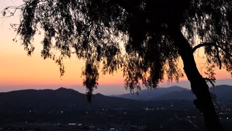 silhouette of a willow tree on mt rubidoux riverside california during sunset with beautiful pinks and yellows