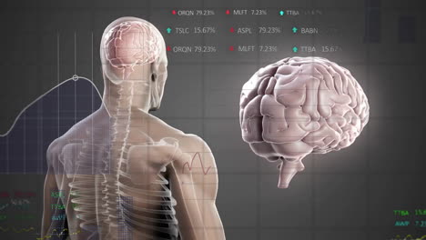 animation of spinning brain and human over data processing on black background