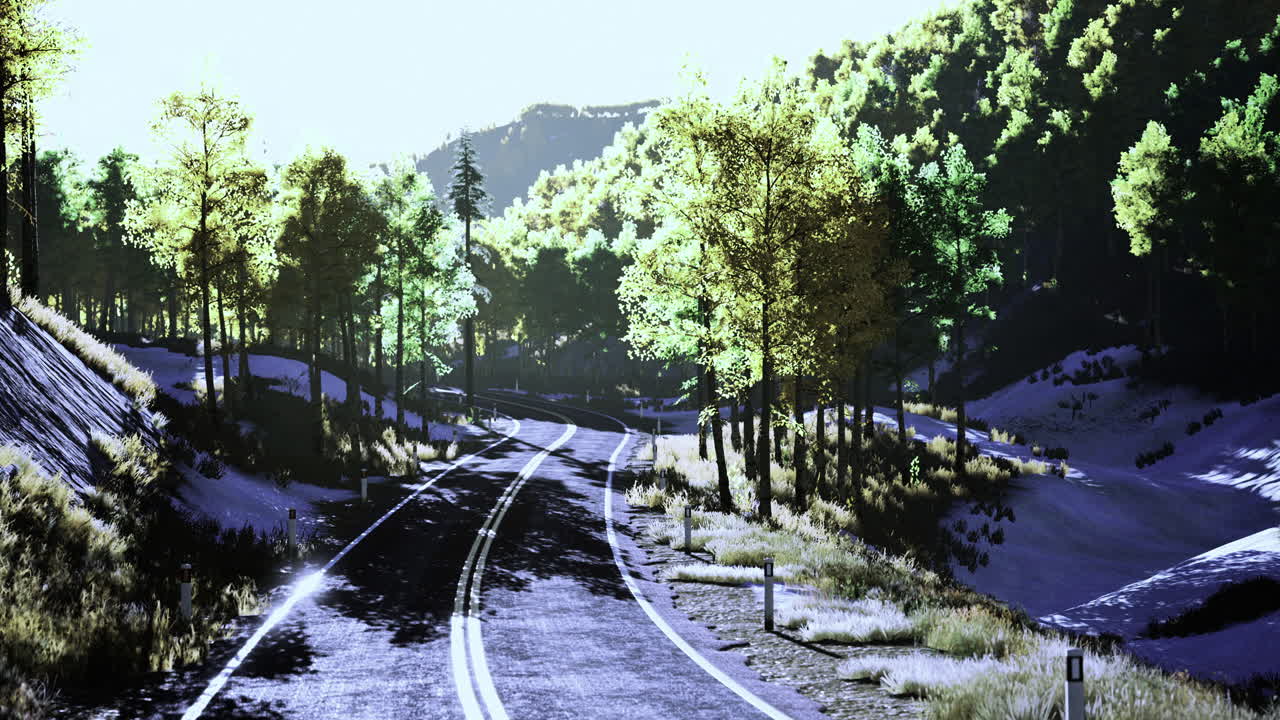 Winding road through lush trees in bright daylight surrounded by nature