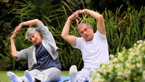 Couple-practising-oriental-exercises-in-garden