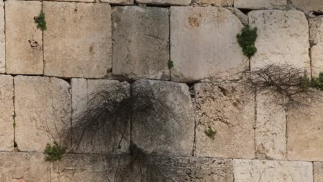 panoramic move of closeup the wailing wall