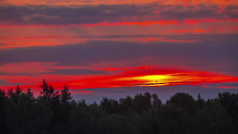 Puesta-De-Sol-Roja-En-El-Cielo-Sobre-Un-Bosque-En-El-Horizonte