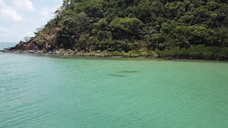 drone aerial over tropical blue water and rainforest mangroves