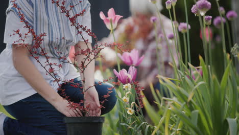 two women plant flowers in the garden, decorate the backyard of the house