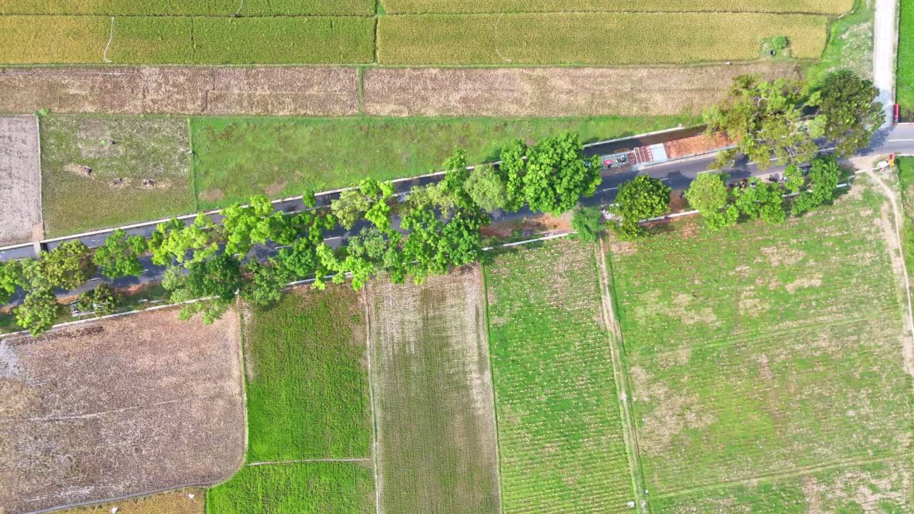 Aerial view over the rice fields in the valleys of Mount Sumbing, Indonesia.