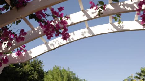 a white wooden bridge in the middle of the garden surrounded by pink flowers and tree leaves low angle shot