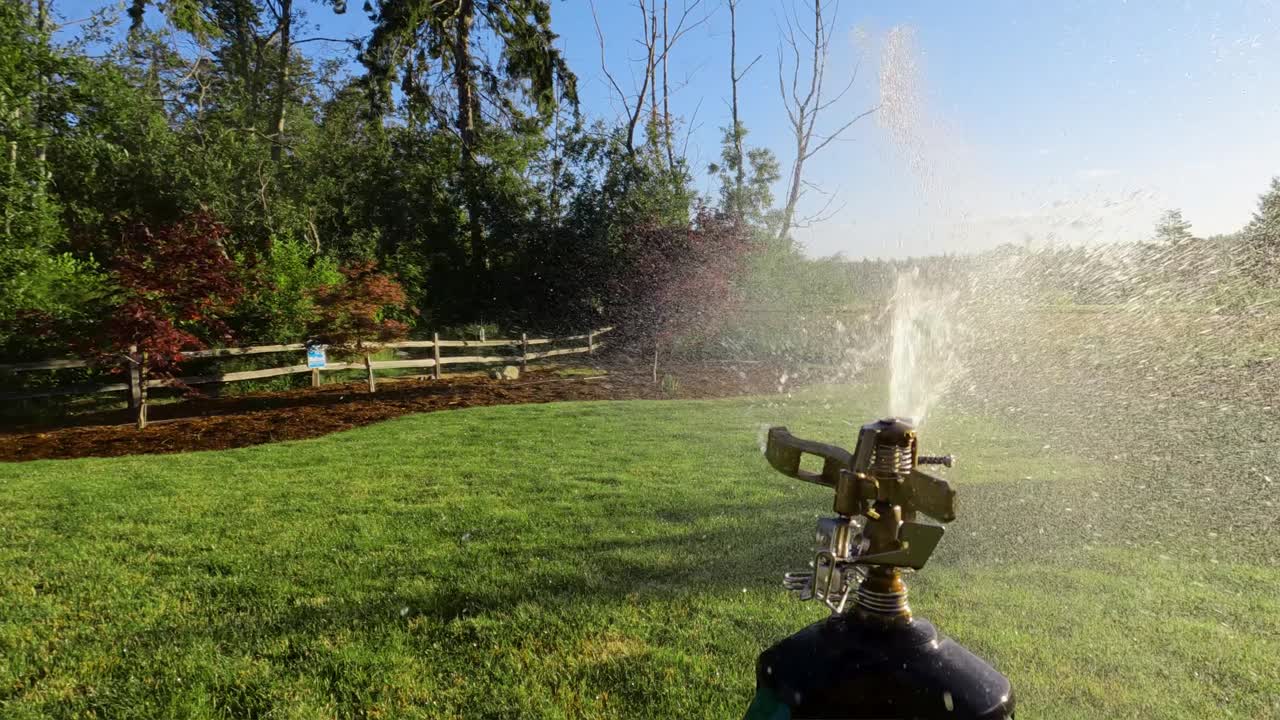 Automatic sprinkler head watering a private lawn during summer