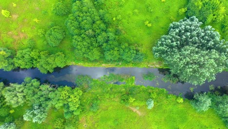 Blick-Von-Oben-Nach-Unten-Auf-Den-Exotischen-Gewundenen-Fluss-Fließt-Durch-Grüne-Feuchtgebiete