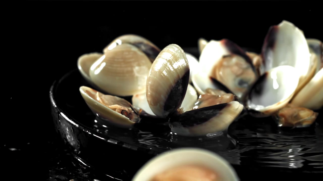 Fresh Clams Falling into Water with Splashes in Slow Motion