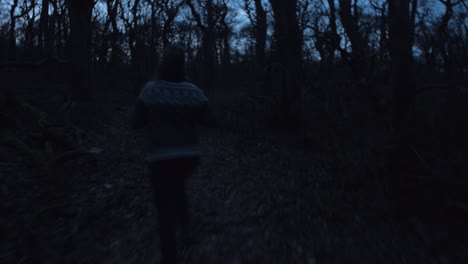 dark moody forest at night, young woman being chased and running away, camera movement, camera following tracking dolly in on a steadicam gimbal stabiliser, dark moody atmosphere